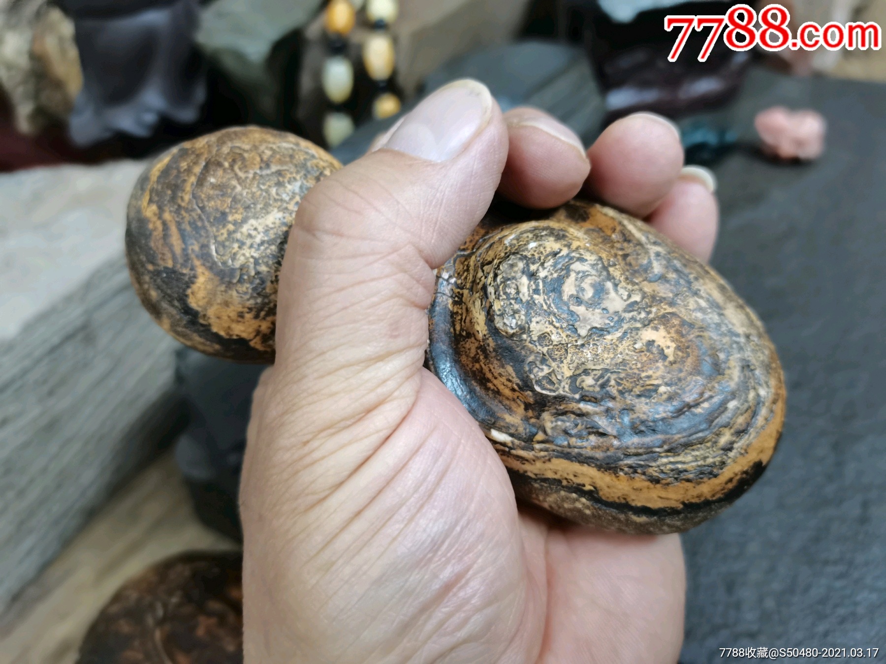 古玩杂项观赏奇石沙漠漆风凌石风砺石戈壁玛瑙原石象形造型景观埃及古