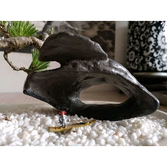 贵州墨金石
