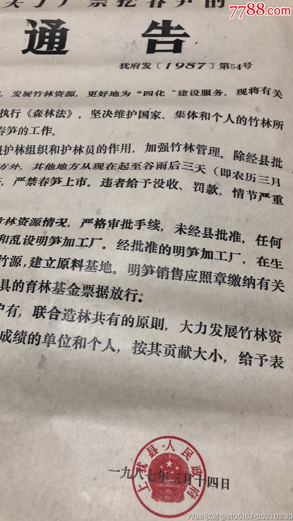 上犹县关于关于严禁挖春笋