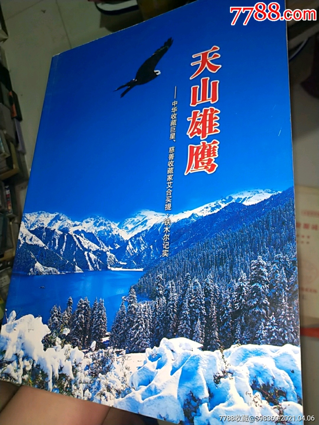 天山雄鹰