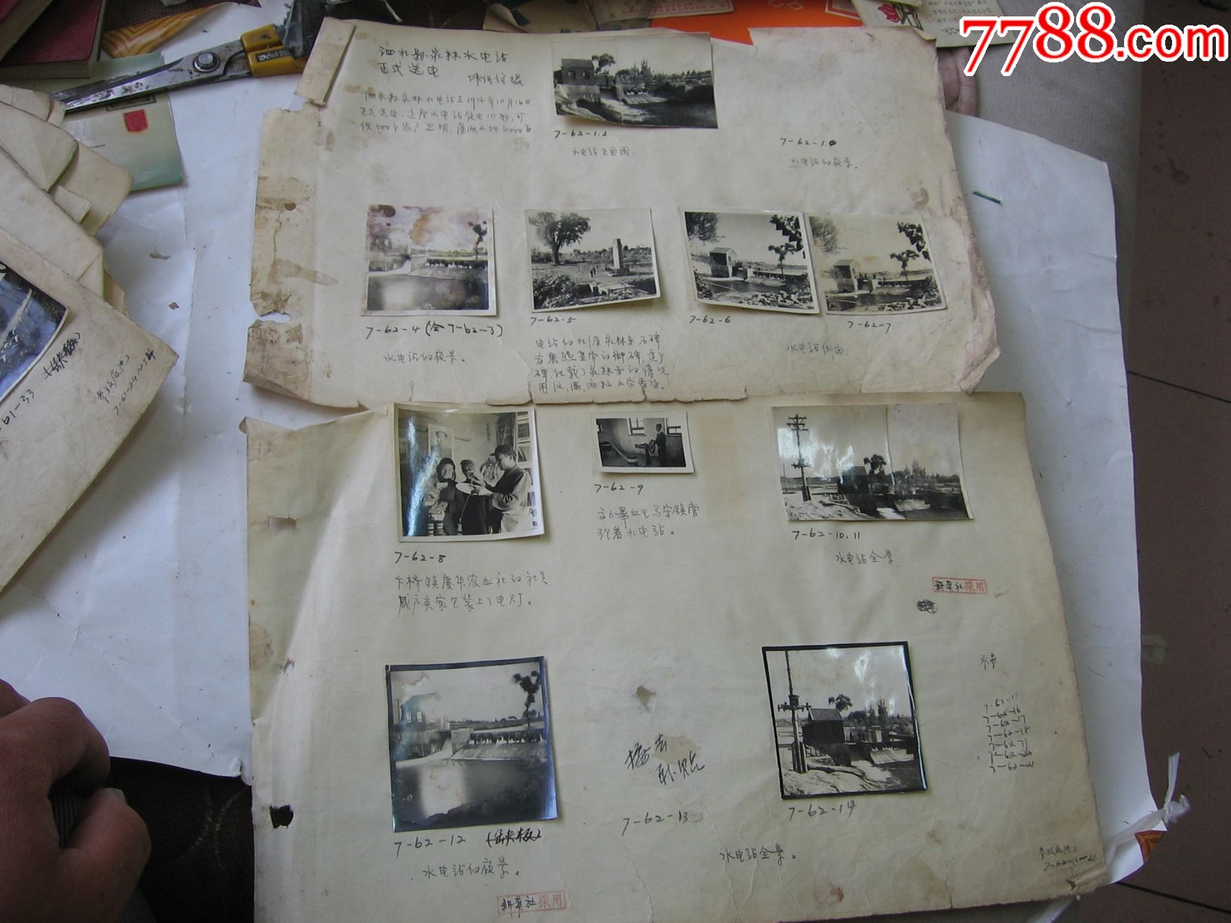 泗水县1956年老照片10张