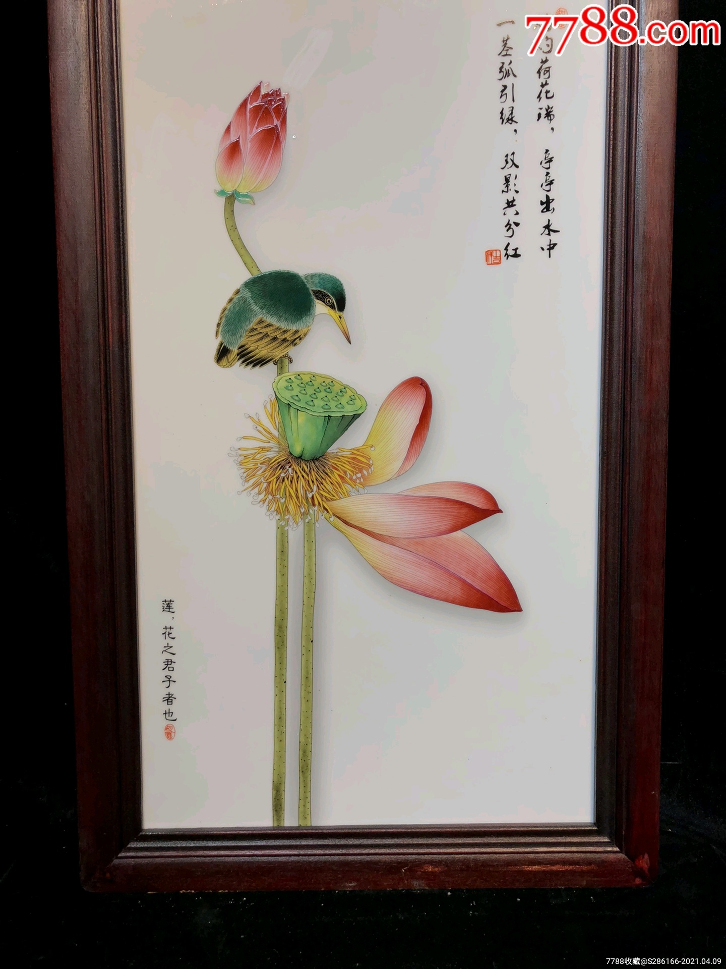 木镶瓷板画粉彩灼灼荷花红挂屏,不议价