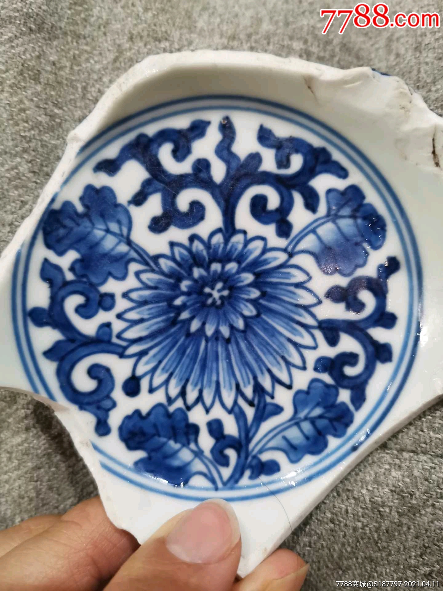 康熙菊花纹青花瓷片标本
