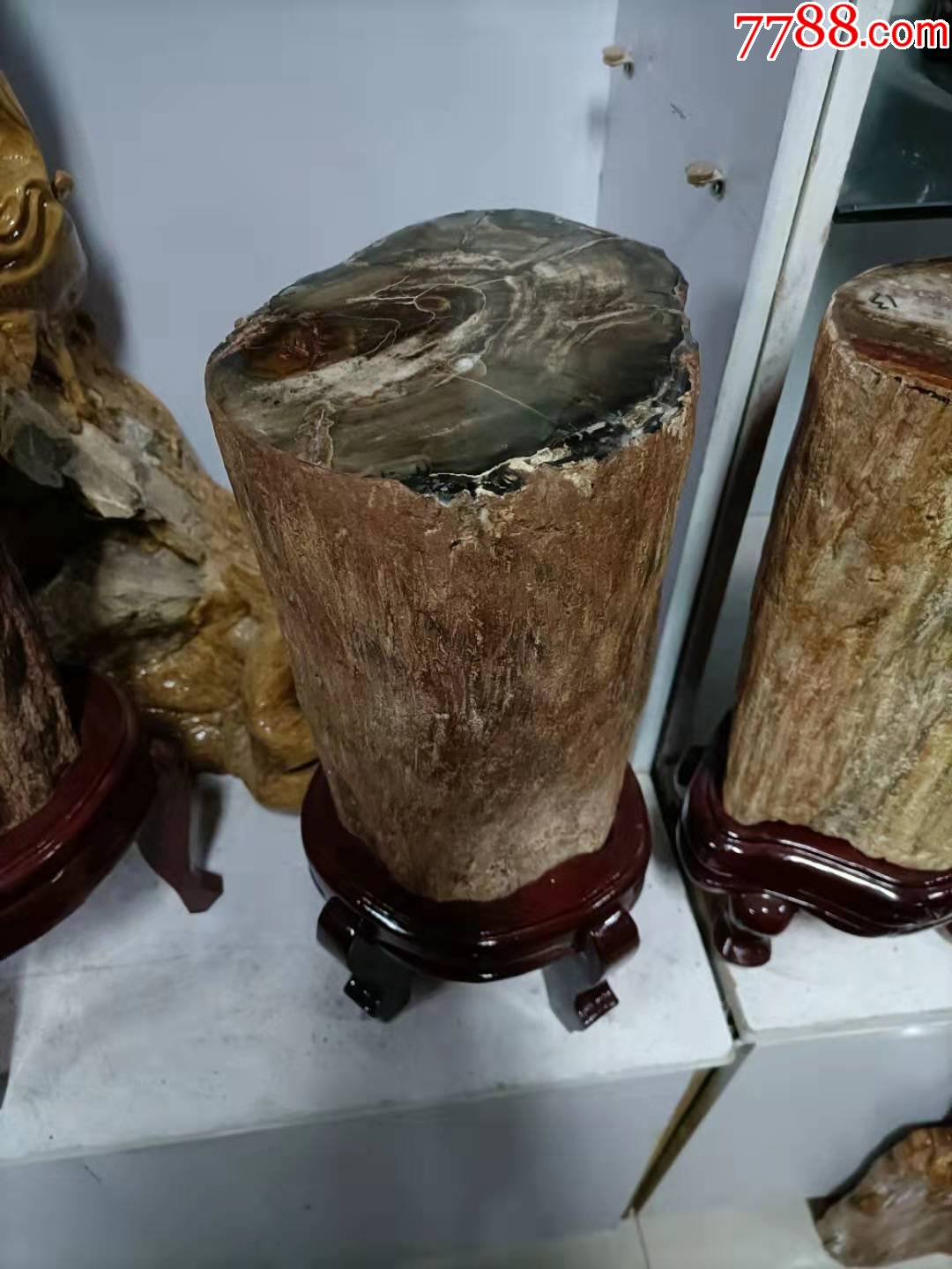 原生态硅化木
