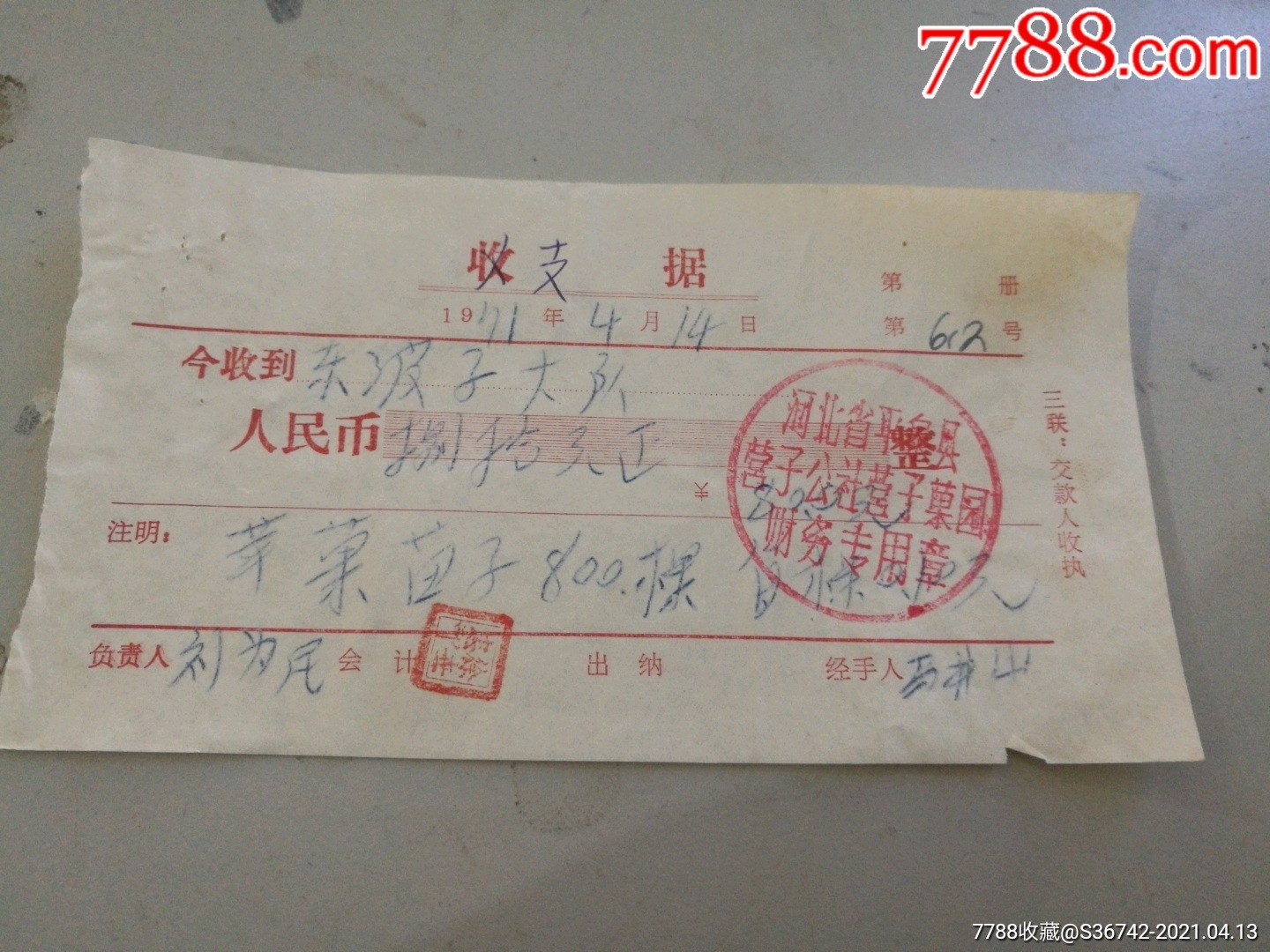苹果苗收据