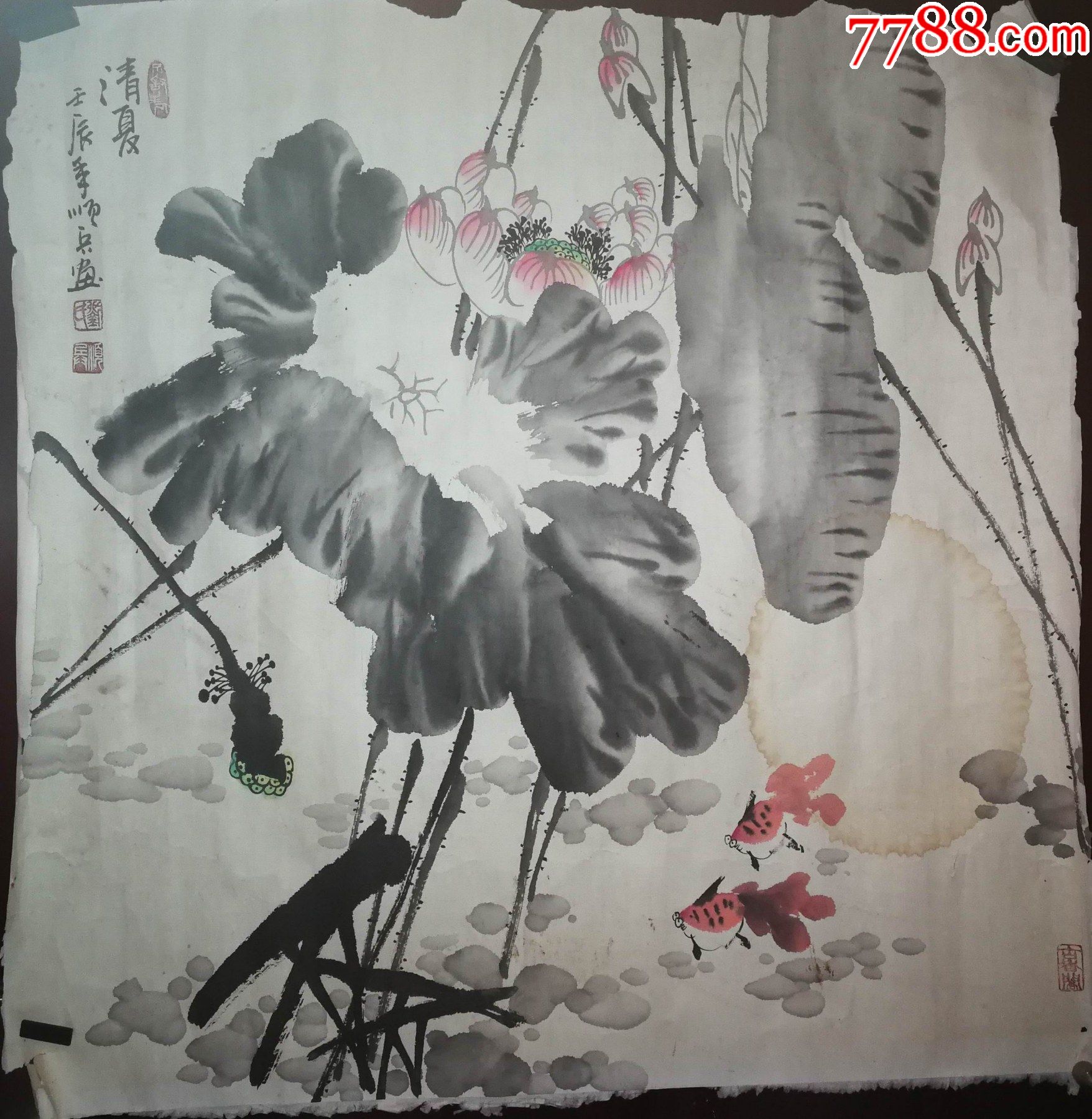 桂林市花鸟画家刘顺兵手绘作品有水印(已托片)尺寸70公分×69公分