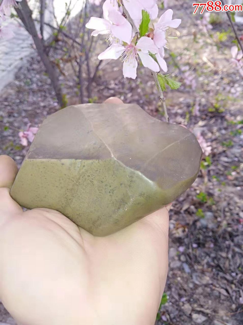 新疆泥石
