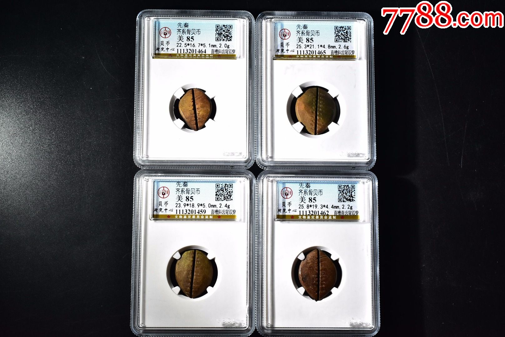 先秦齐系骨贝币公博评级币85分