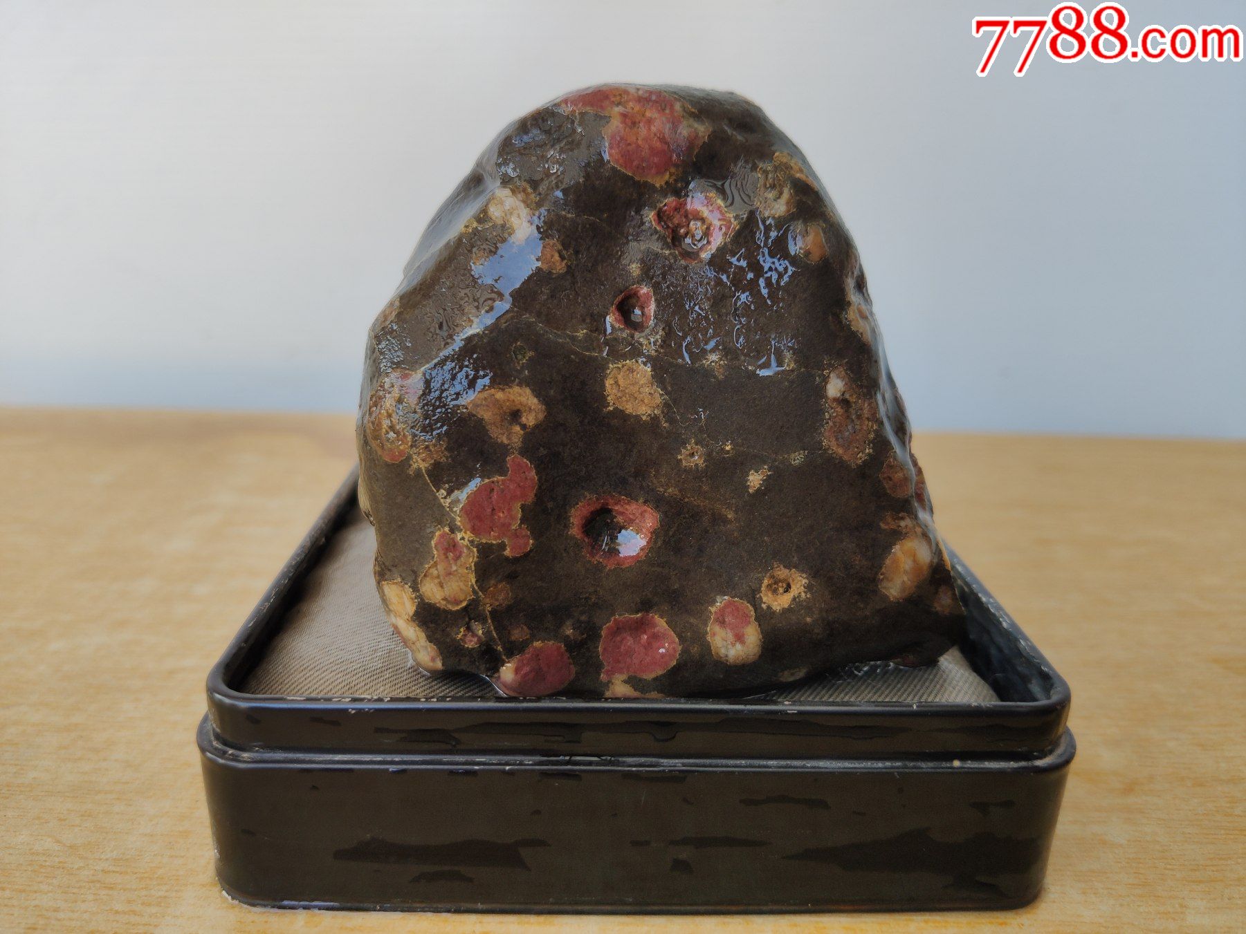 新进洛阳梅花石原石1865(色彩艳丽,磁性强)