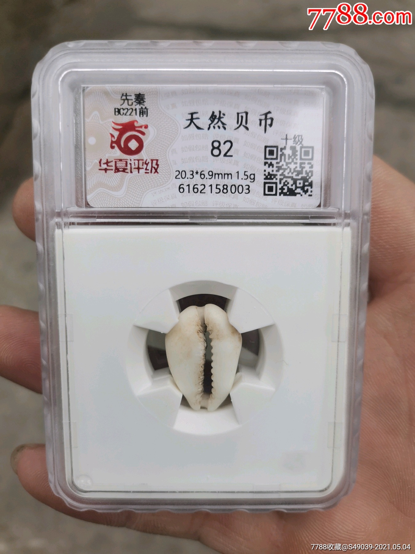 先秦天然贝币