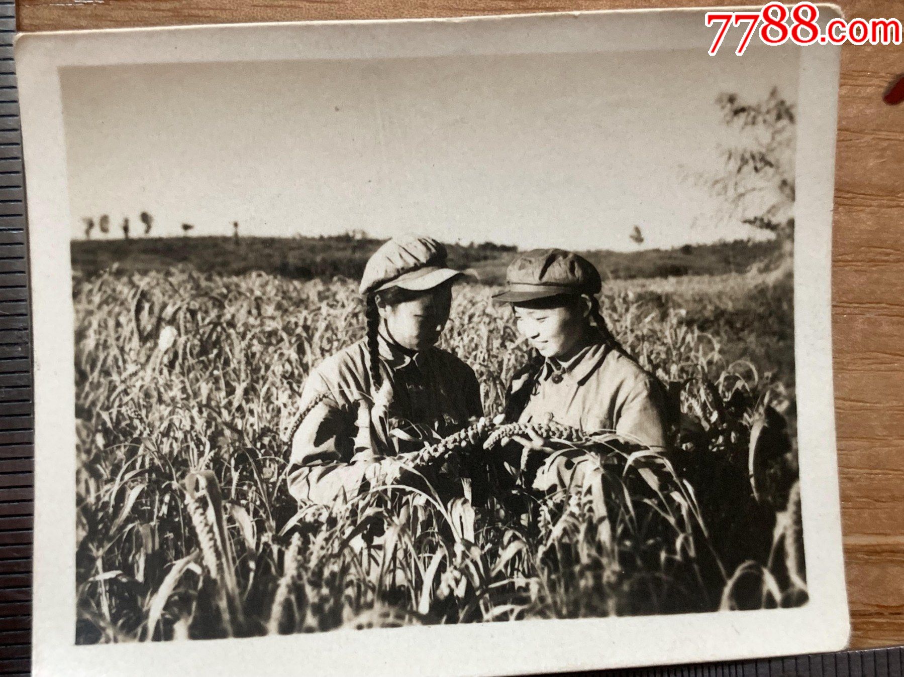 50年代,文艺团在朝鲜农田,照片,背面有字,_老照片_第2张_7788钱币网