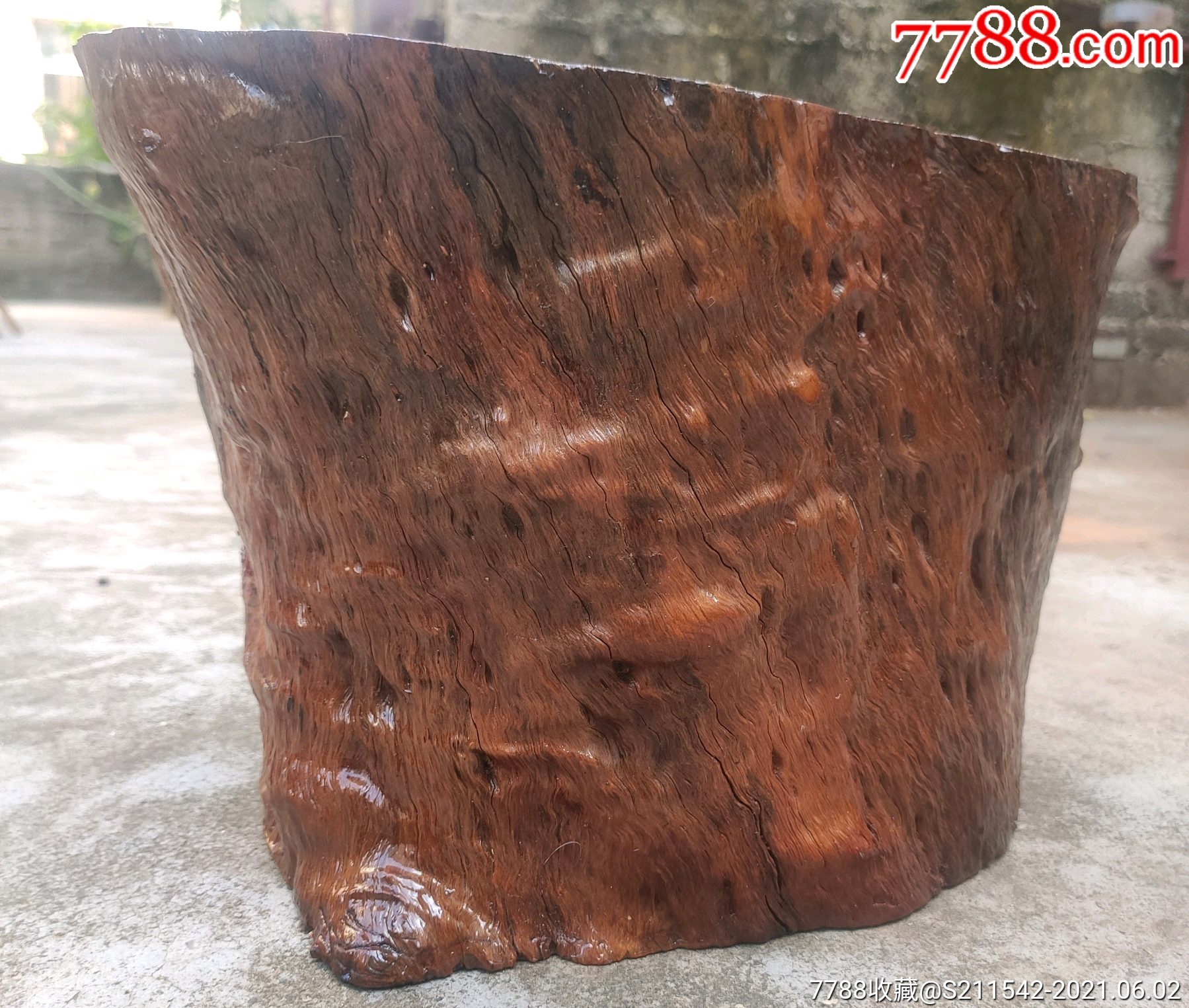 龙眼木满身瘤疤坐墩
