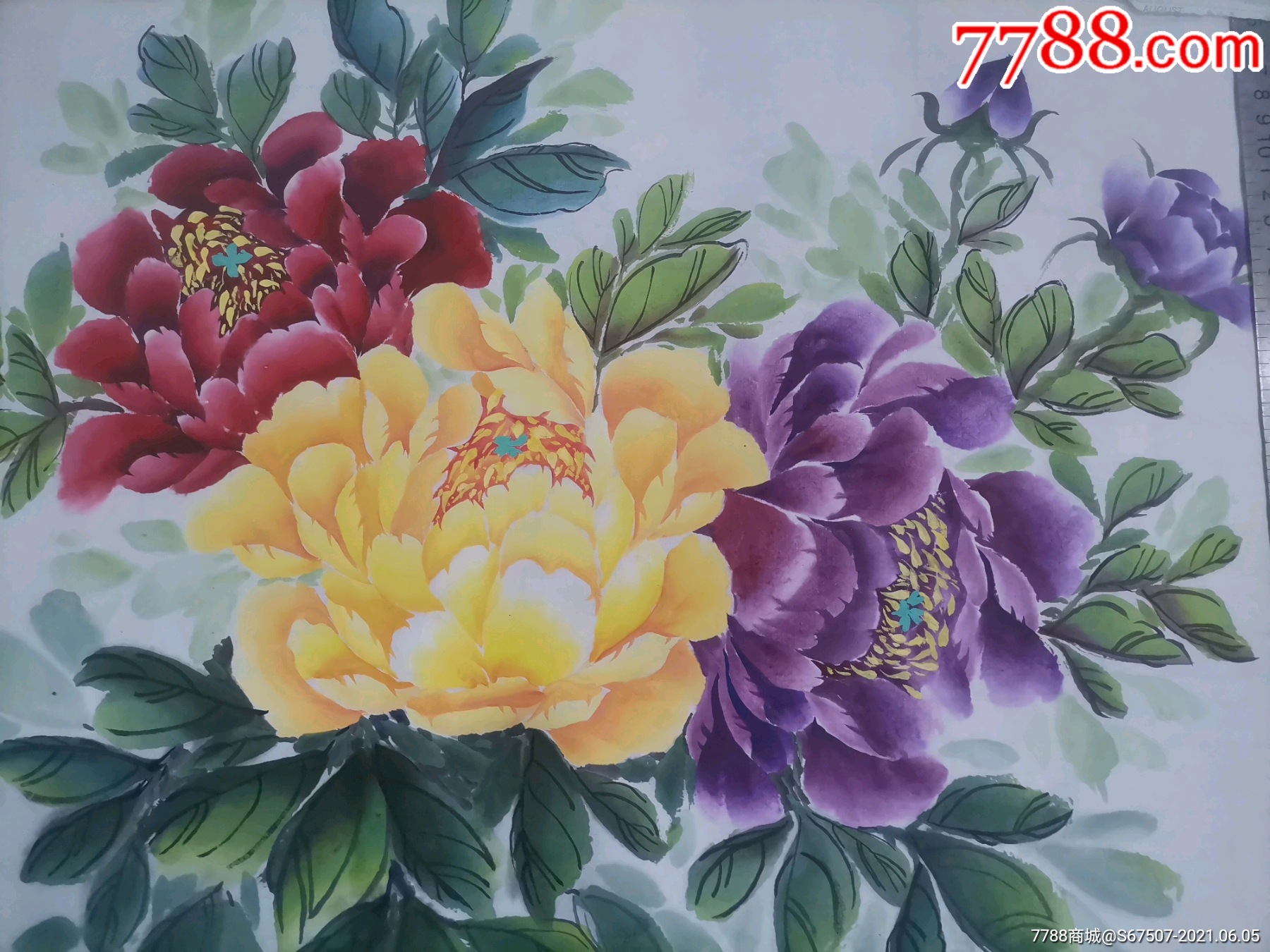 手绘牡丹花6号_水粉/水彩原画_第2张_7788字画网