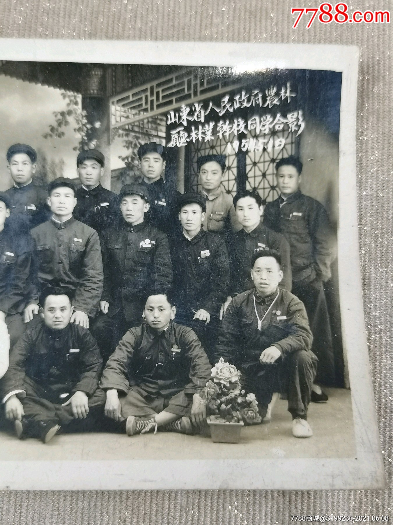 建国初山东省林业厅林业干部合影照,同学合影老照片