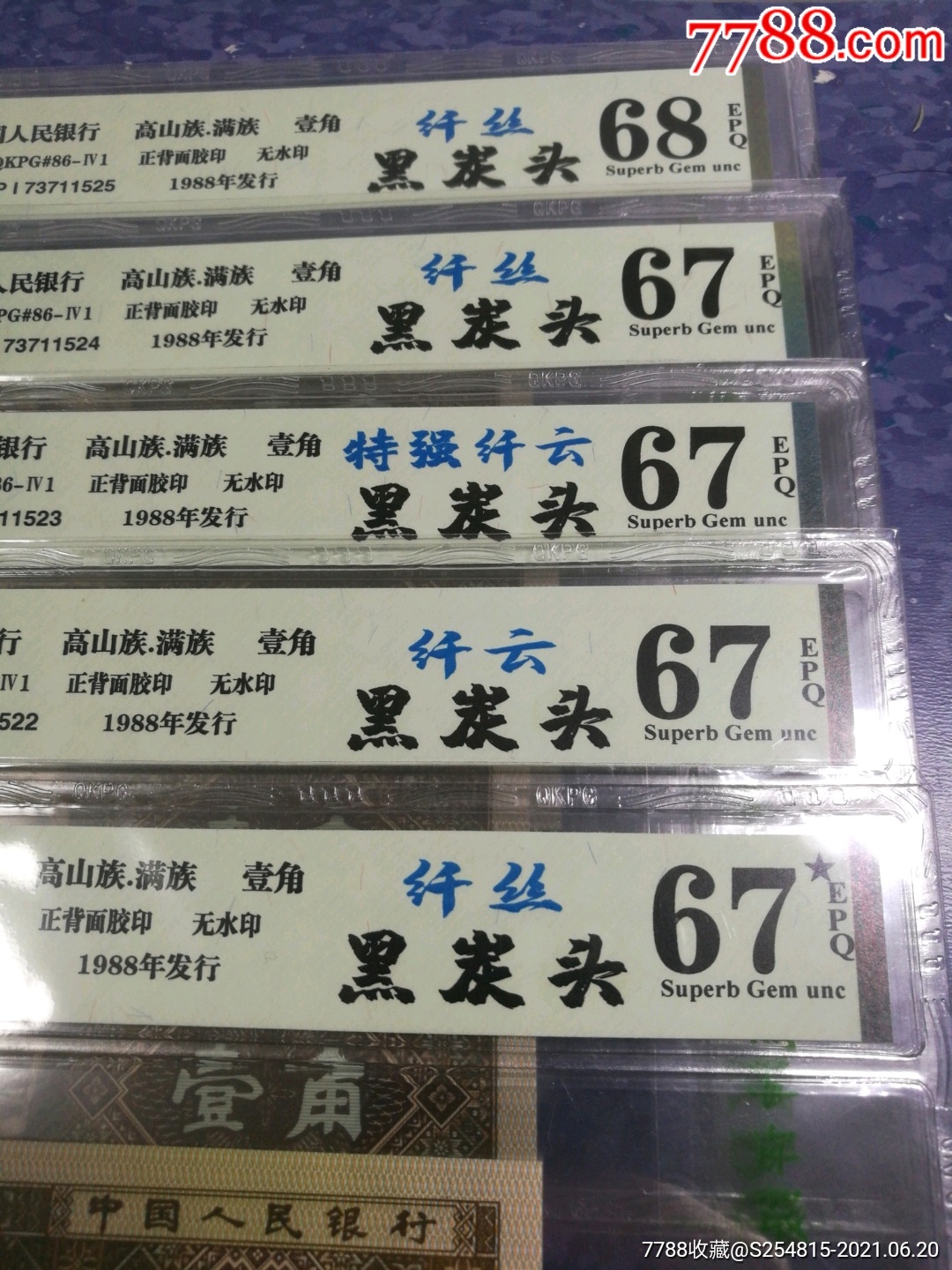 8001pi冠黑炭头纤丝纤云标十