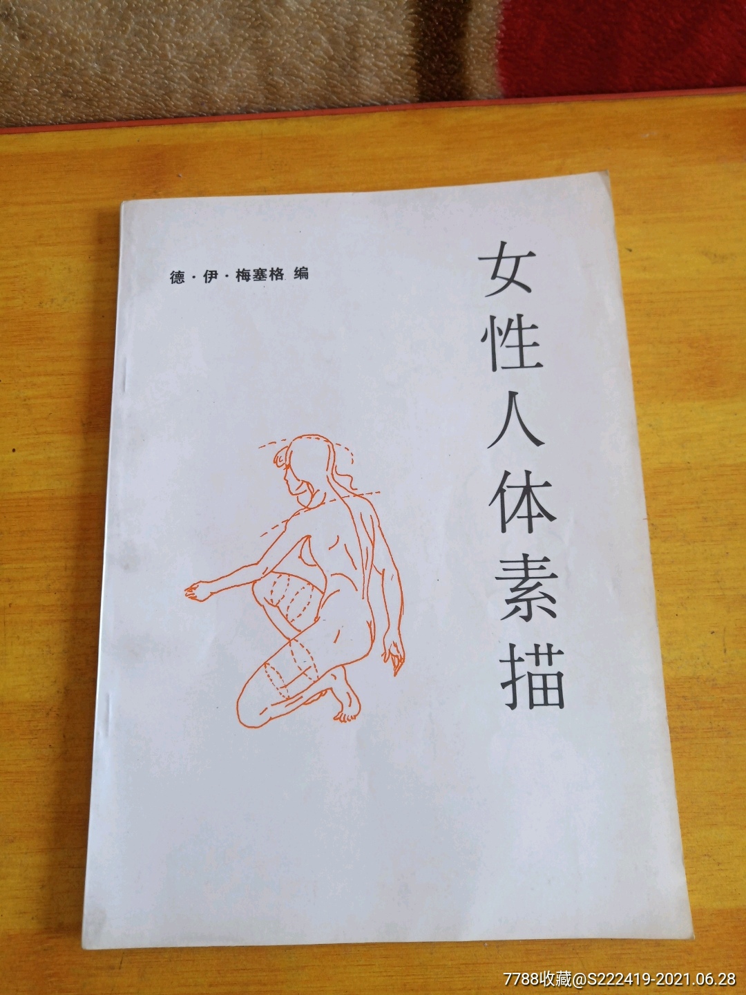 女性人体素描