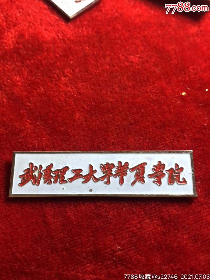 武汉理工大学华夏学院-价格:18.8元-se81199069-校徽
