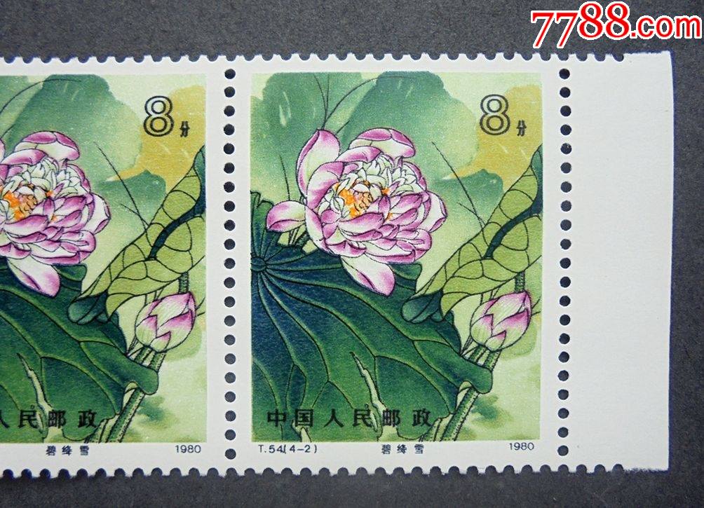 邮票,t54荷花(4-2)碧绛雪8分,四连带右边,全新10品1980年