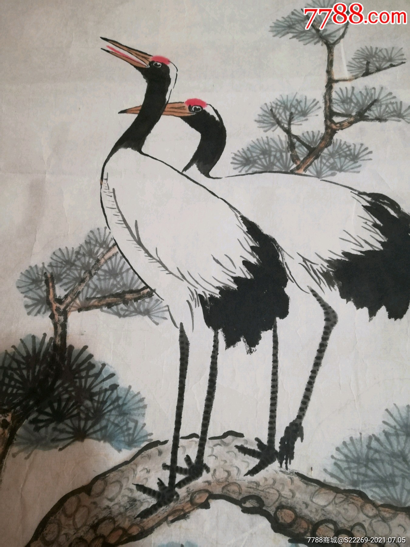 著名书画家泸州张孝基画------松鹤延年,45----68厘米_山水国画原作