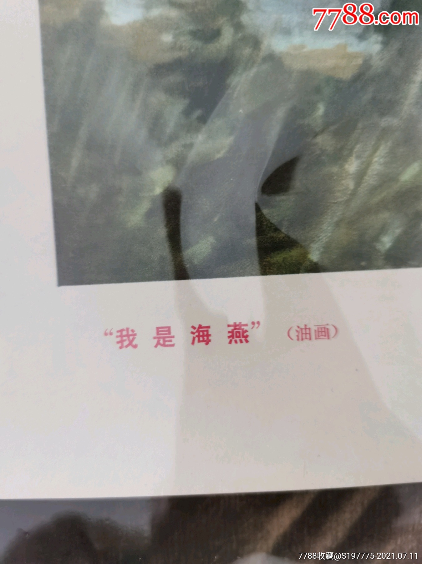 我是海燕宣传画画稿潘嘉俊绘画全开