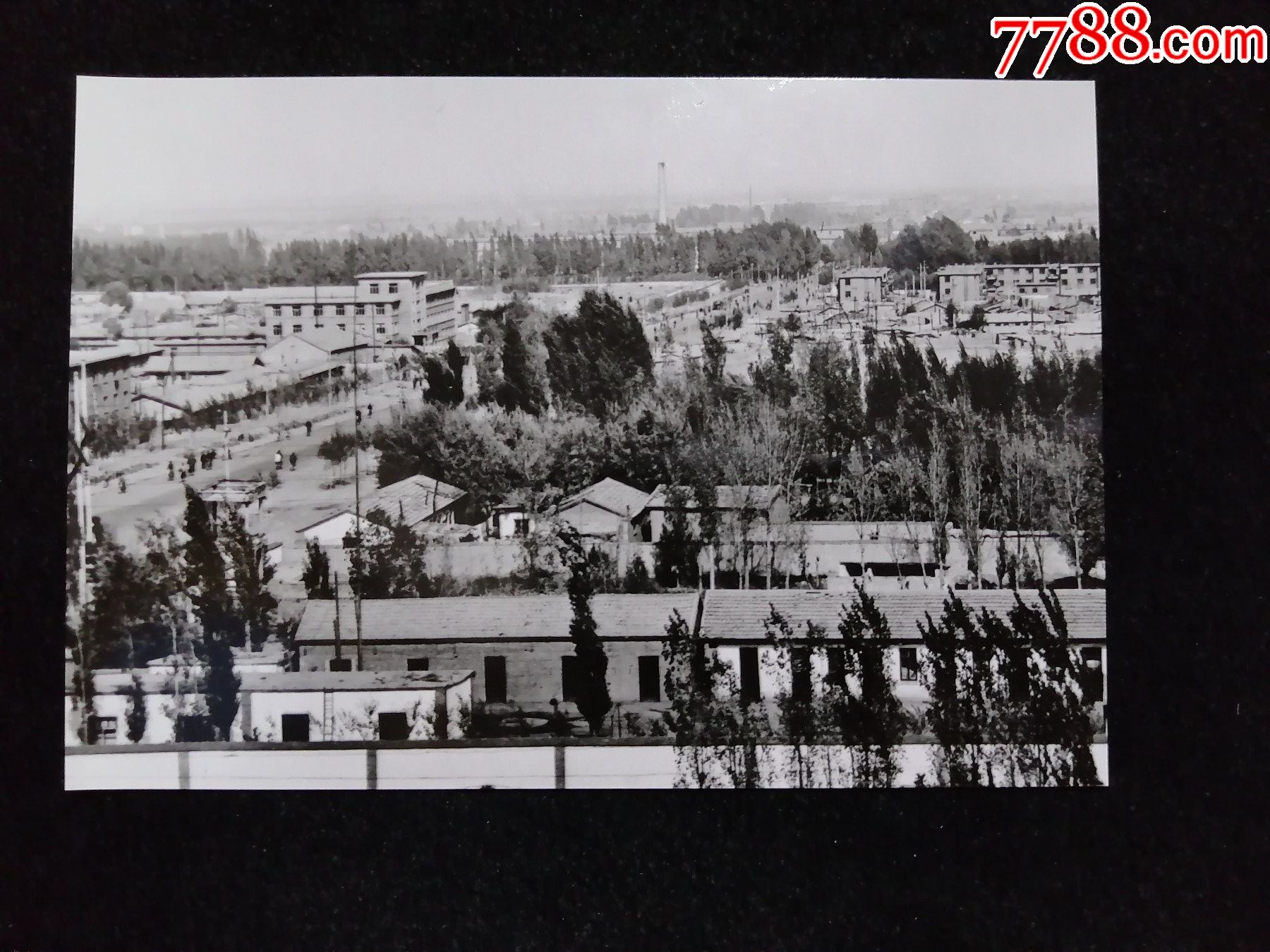 5厘米_老照片_奉天驿写真馆【7788收藏__收藏热线】