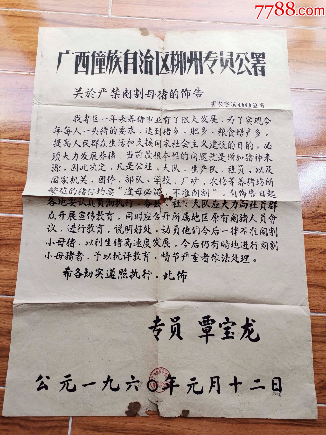 1960年广西僮族自治区柳州专署关于严禁阉割母猪的布告