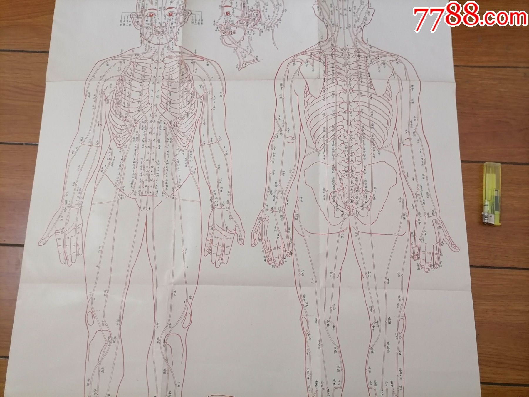 首页 零售 教学挂图 临床针灸经穴图(苏州针灸用品厂(电话号码4