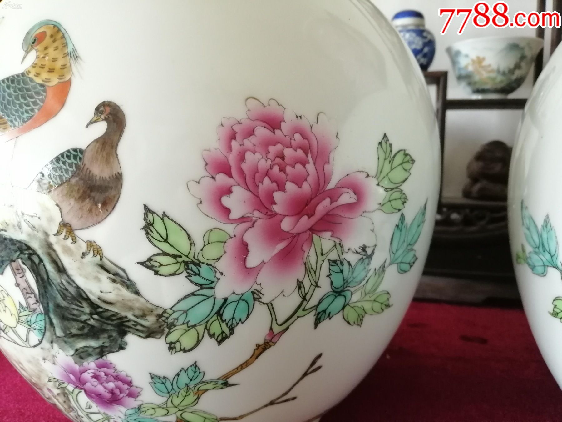 70年代早期景德镇艺术瓷厂红西边脚锦鸡牡丹(锦上添富贵)法口天球瓶