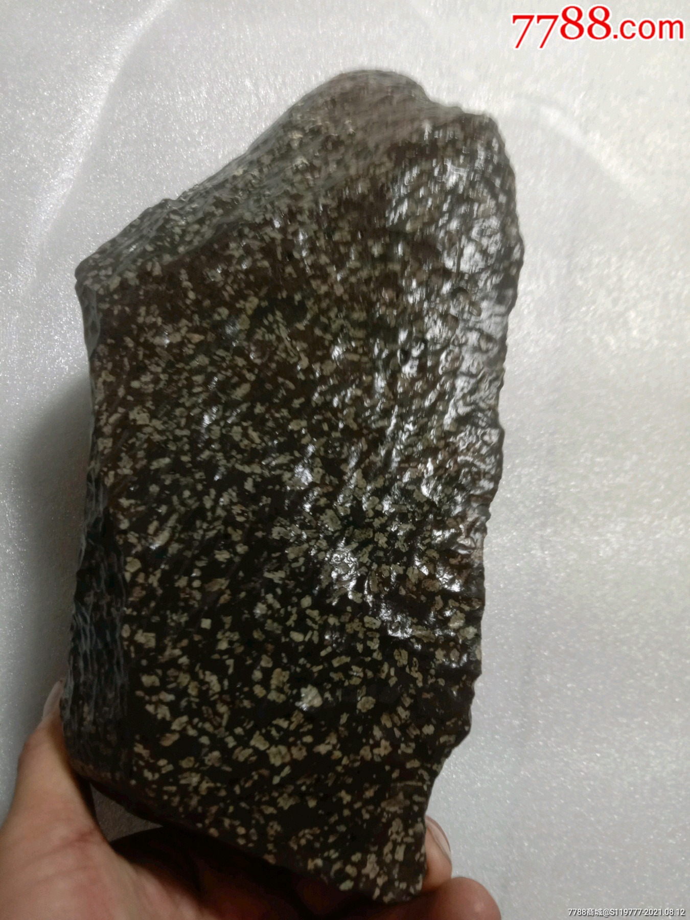 新疆干沟橄榄陨石