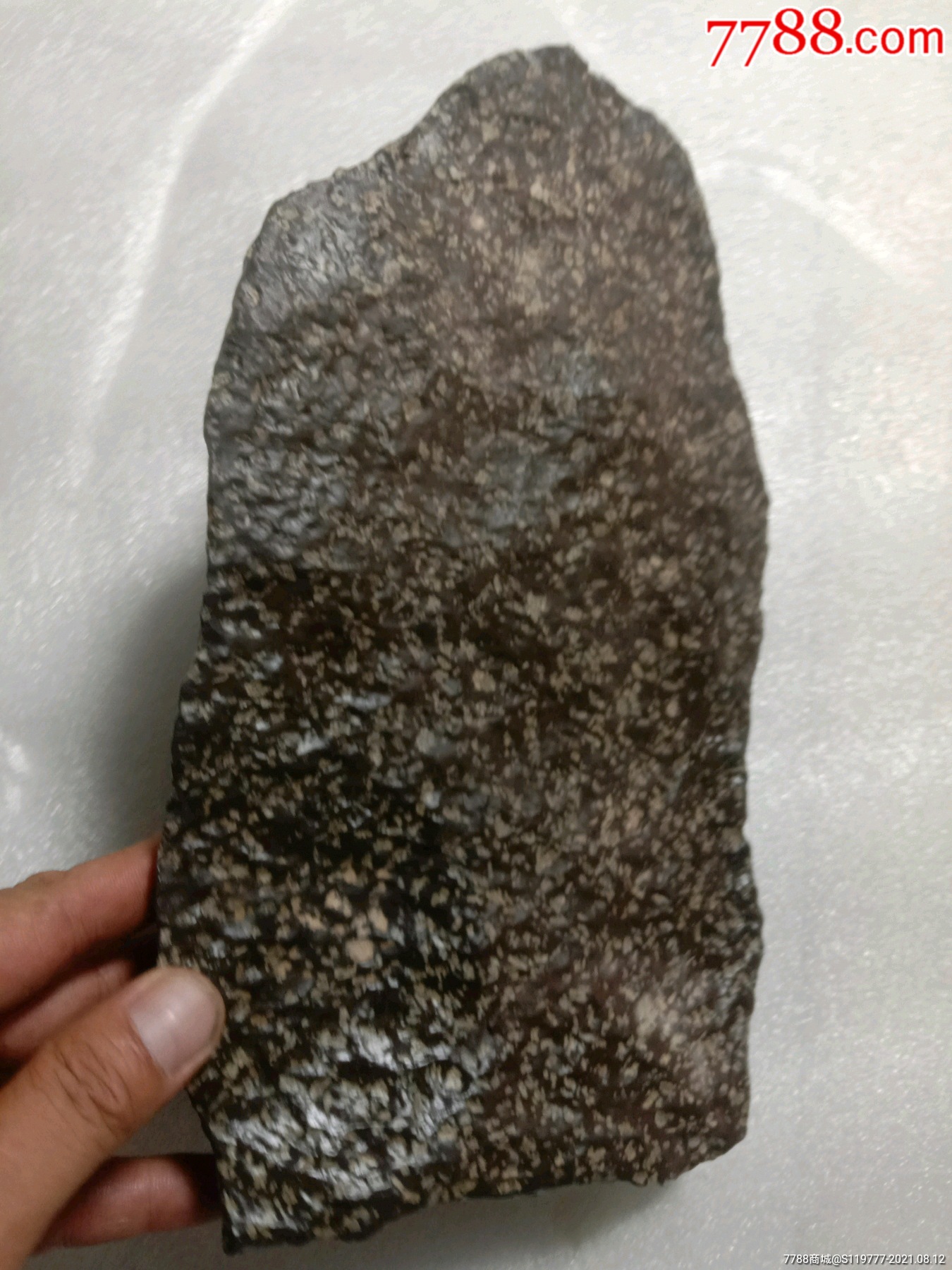 新疆干沟橄榄陨石