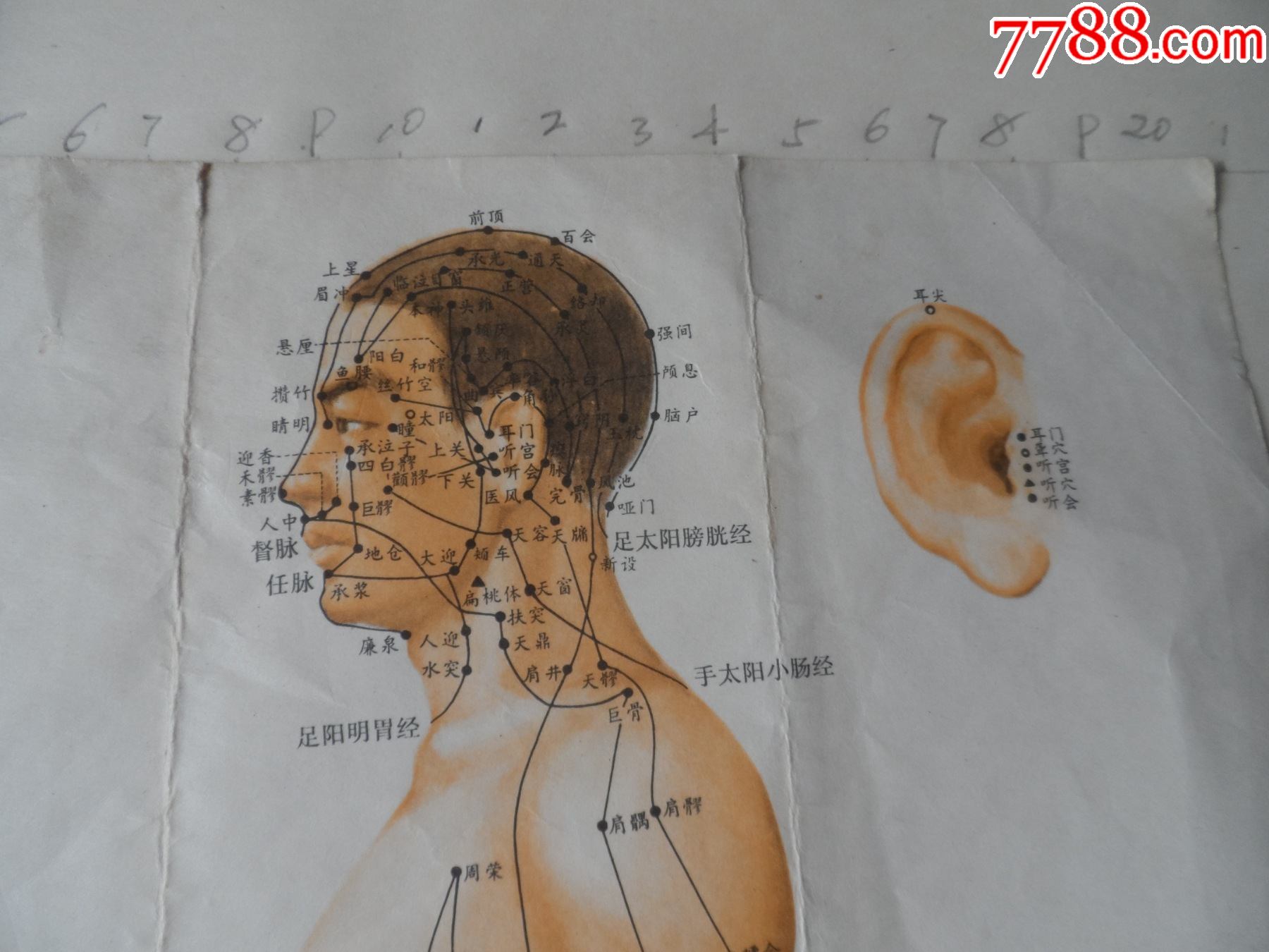针灸,拔罐,点穴,按摩.穴位图【2021—08—16】