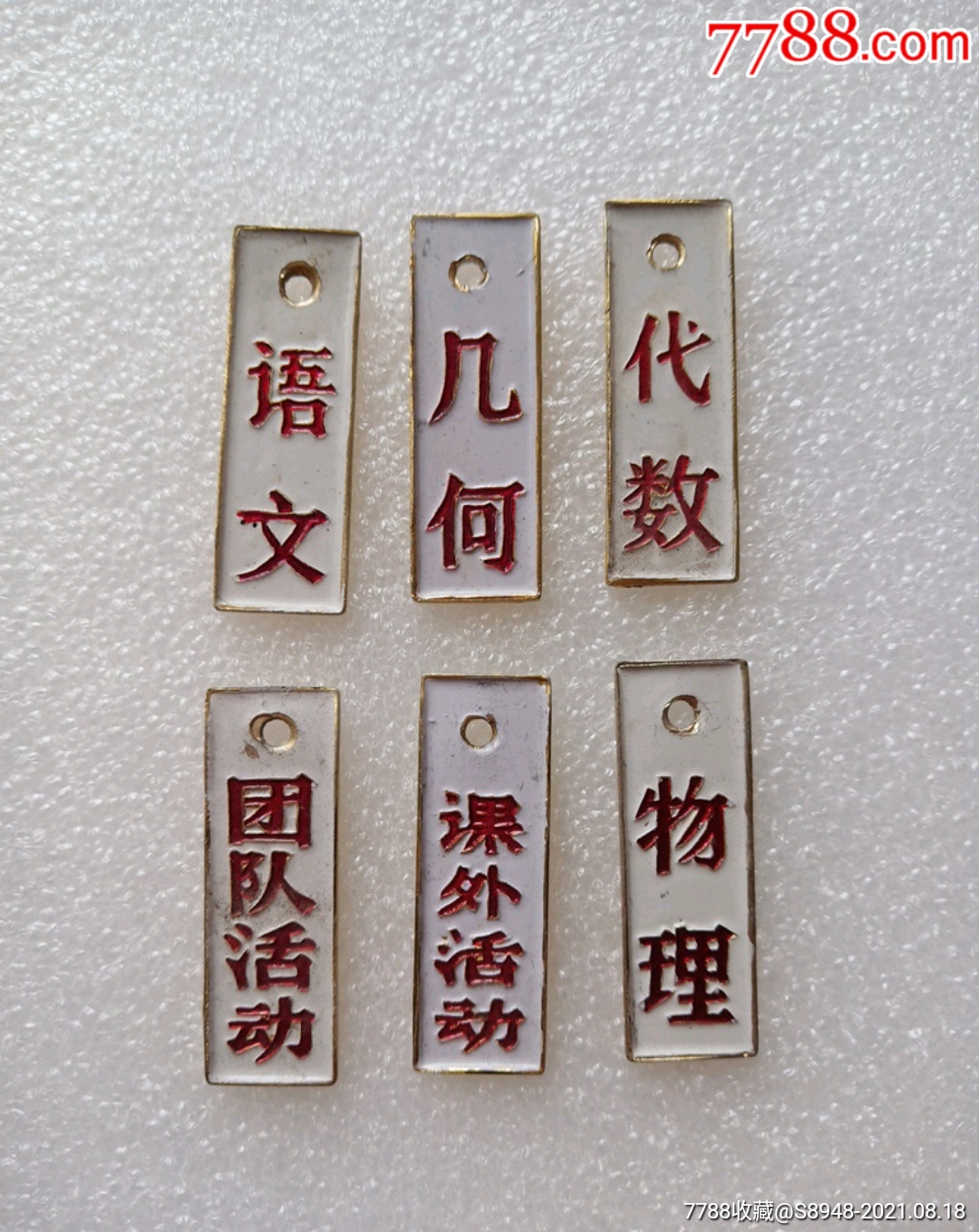 语文,物理,代数,几何,课外活动,团队活动徽章【一共6枚】
