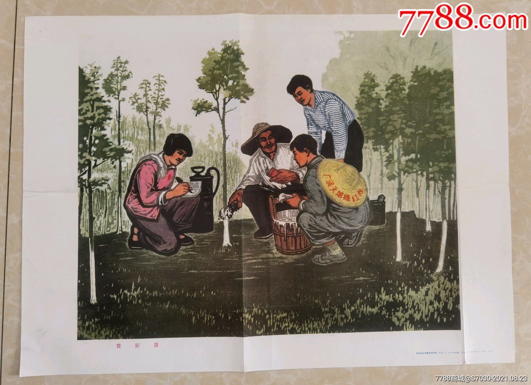 【知青题材】育新苗_价格129元_第1张_7788收藏__收藏热线