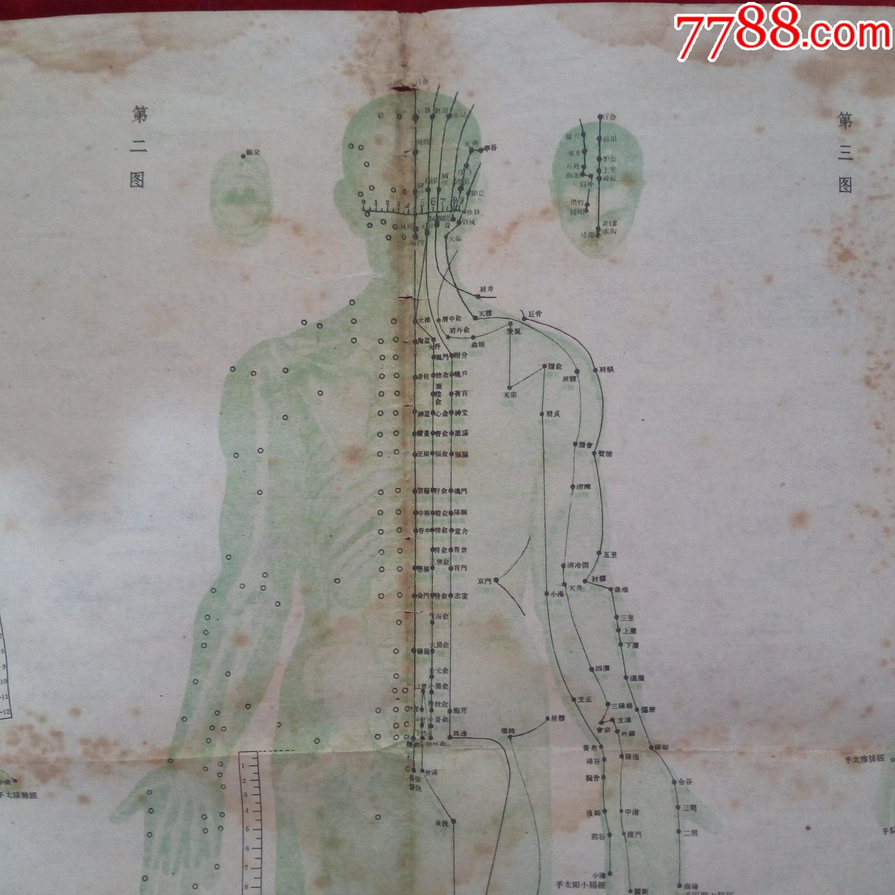 60年代针灸学位挂图一张20元