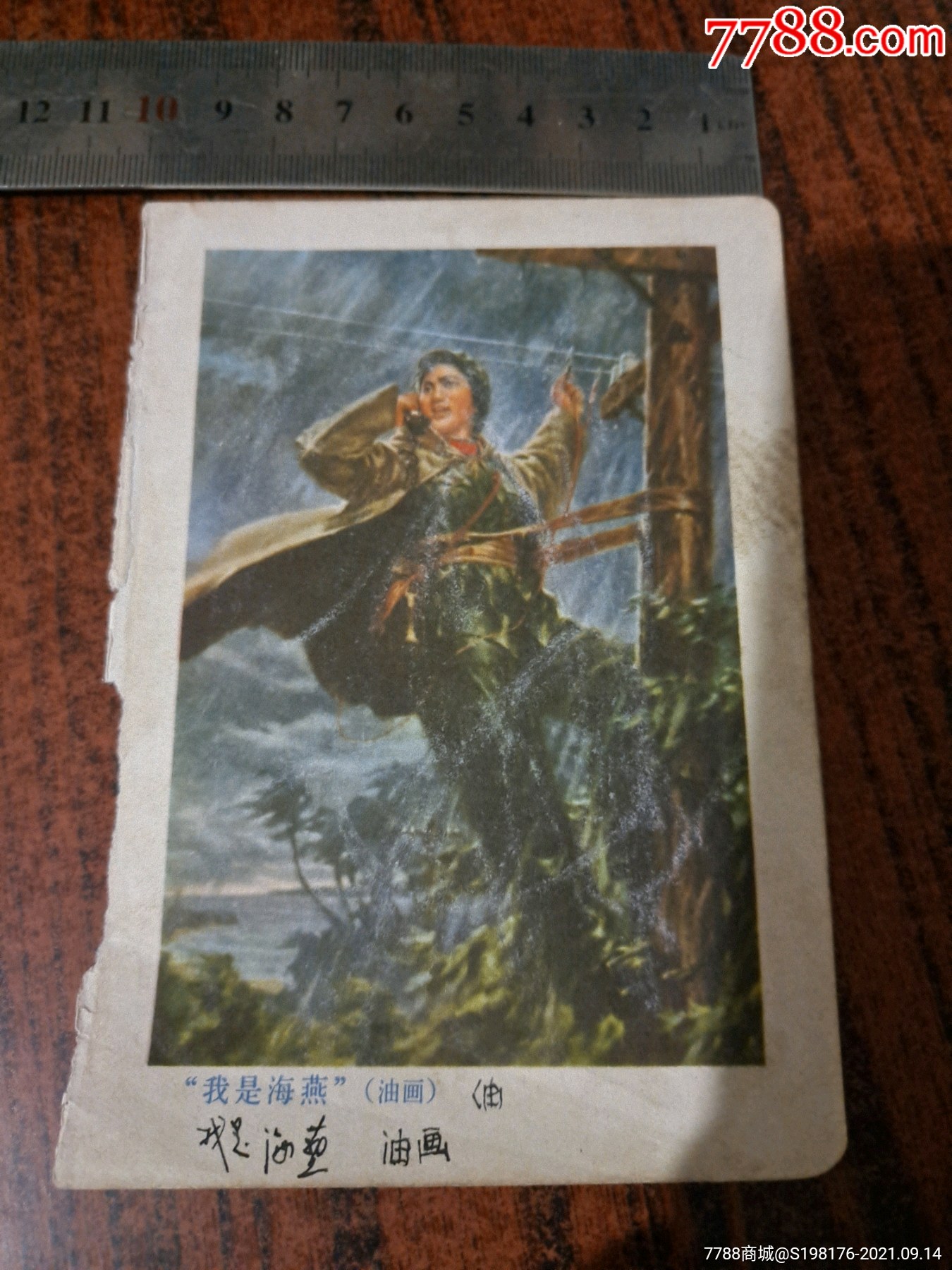 我是海燕(油画.