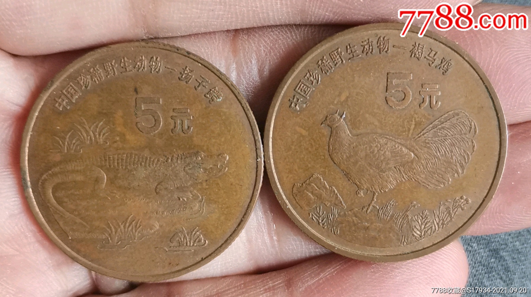 紫铜五元纪念币褐马鸡扬子鳄两枚