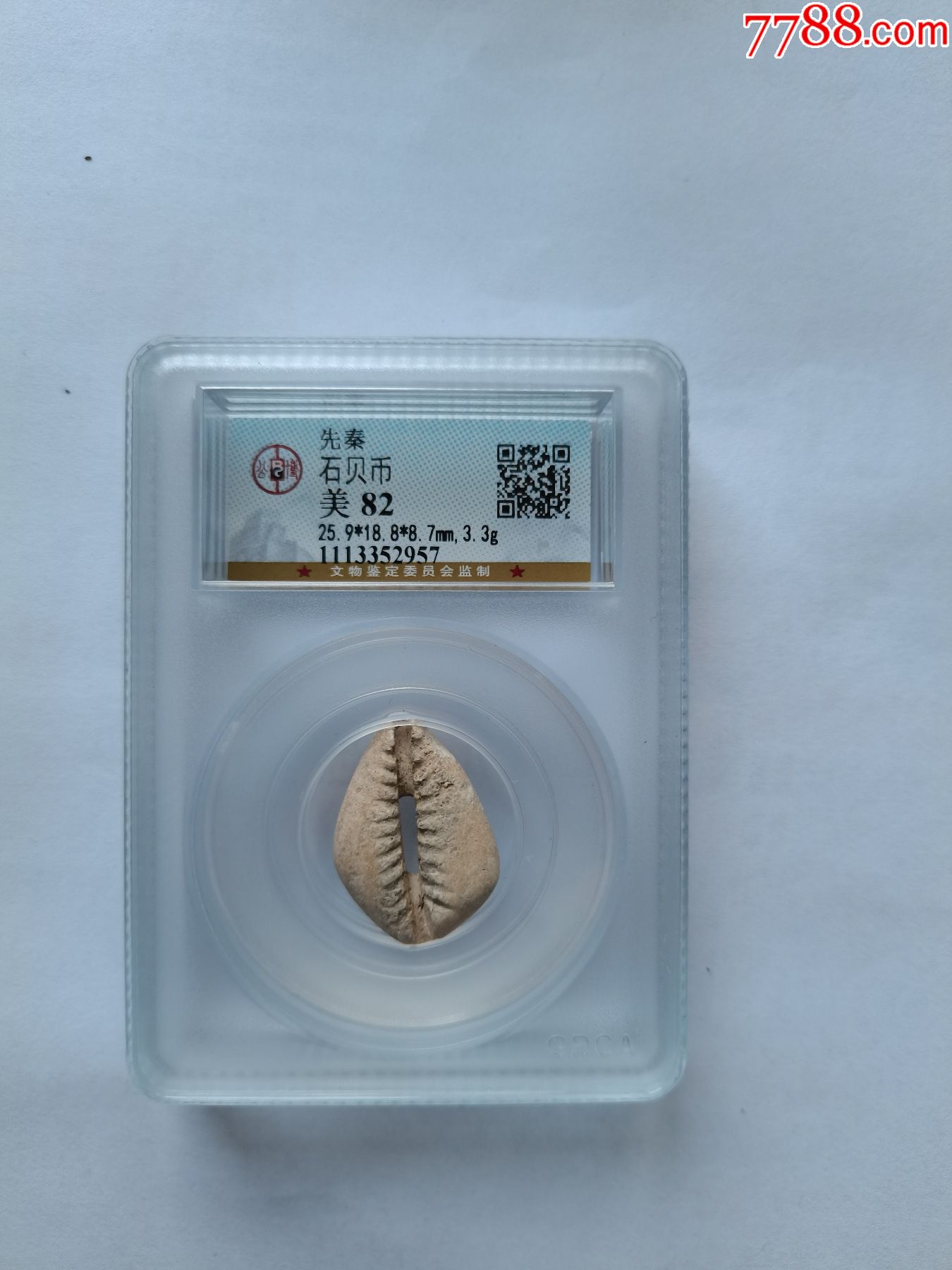 先秦石贝币_价格360元_第1张_7788收藏__收藏热线