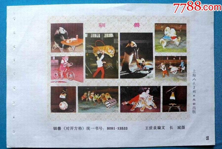 驯兽一有熊猫图_字画年画_娜娜书屋【7788收藏__收藏热线】