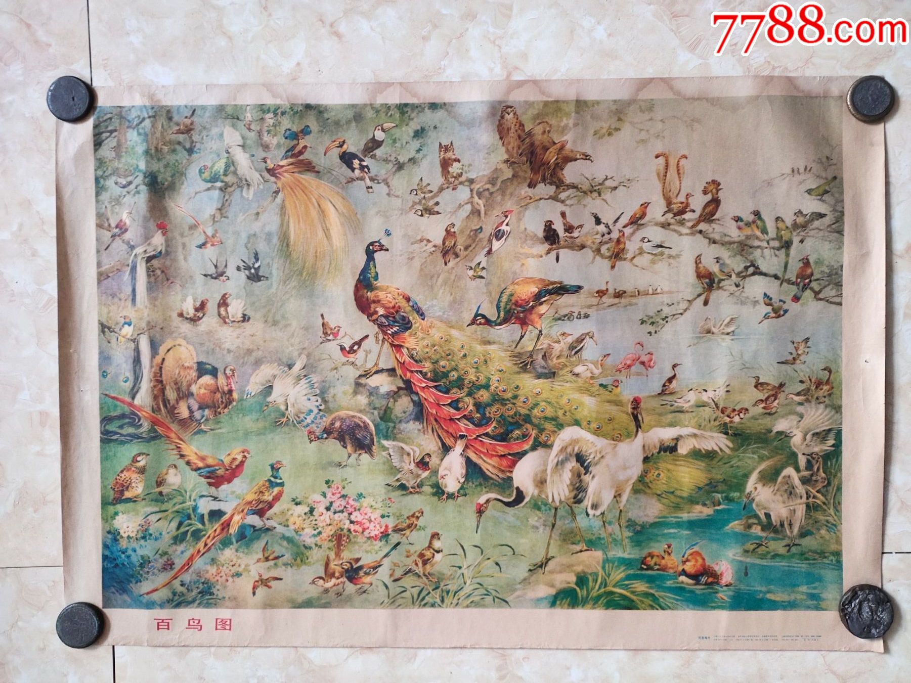 店内编号:8*15 品种: 年画/宣传画-年画/宣传画 属性: 绘画稿印刷
