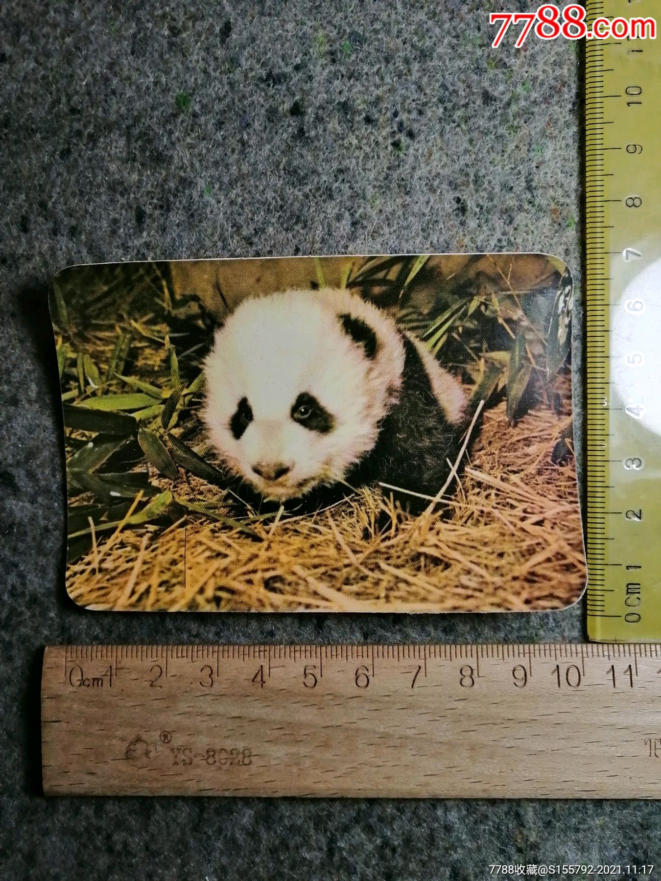 大熊猫卡片1