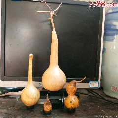 t976三个葫芦合售