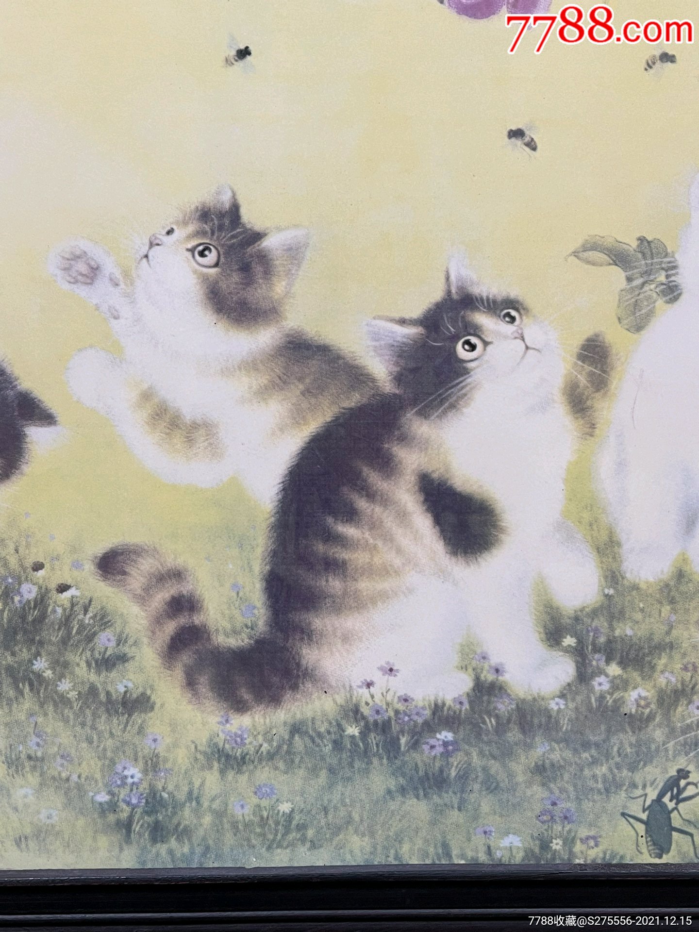 红木镶粉彩花鸟瓷板画《群猫戏蝶图-价格:198元-se84348064-镶嵌瓷/