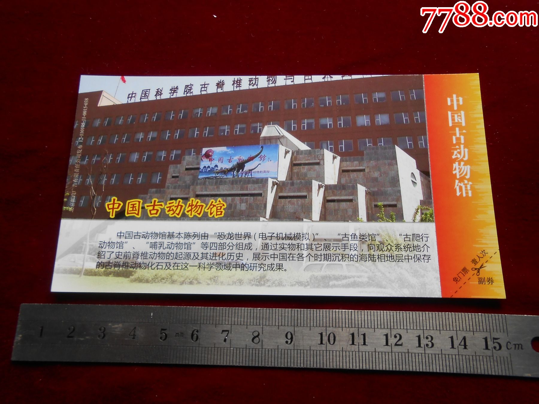 中国古动物馆_旅游景点门票_皖宜瓷杂【7788收藏