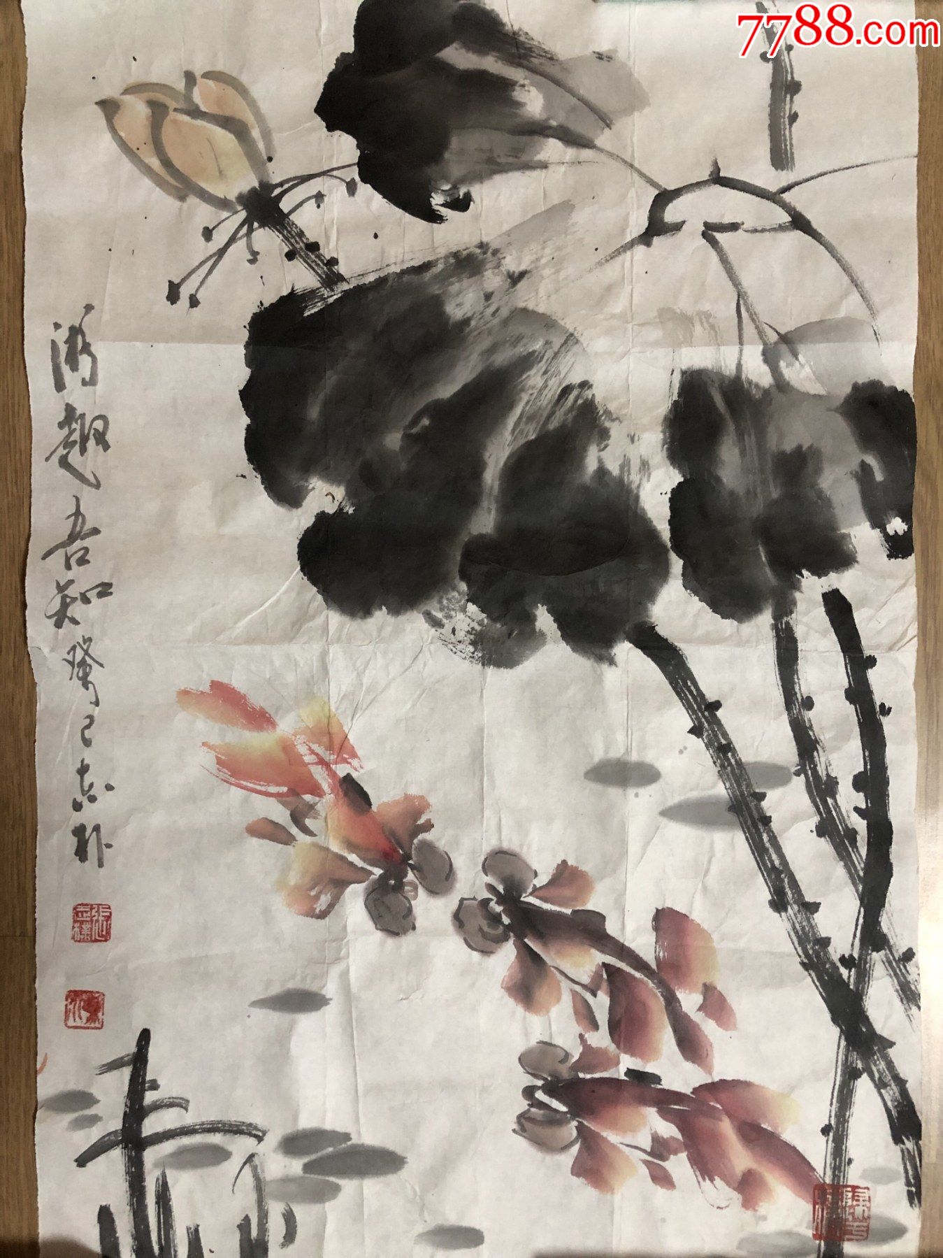 画鱼名家张志朴开三精品花鸟画片清趣吾知