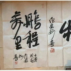 书法家云龙字画