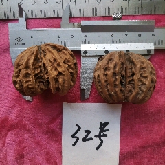 长白山野生核桃一对