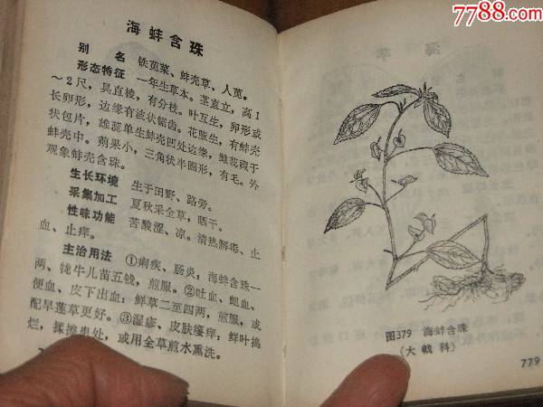 恩施中草药手册【很少的哟】_医书/药书_夷陵丁丁书屋【7788老酒收藏