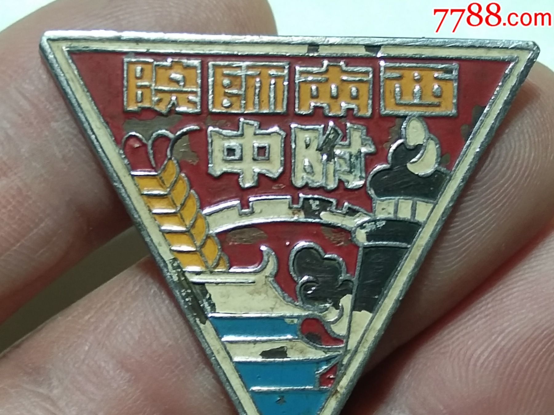 西南师院校徽章西南师范学院校徽证章纪念章