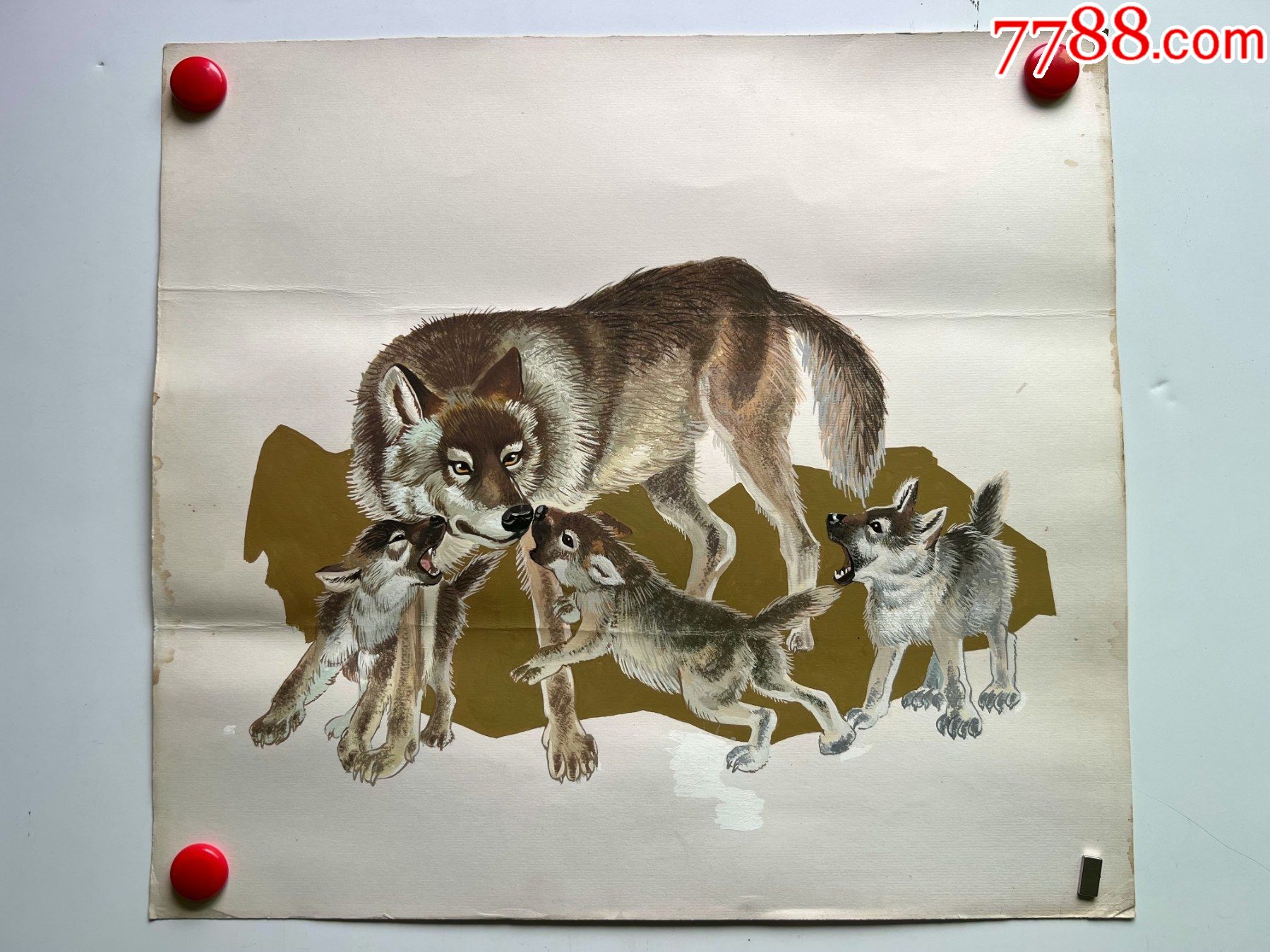 八十年代大幅手绘水粉动物画稿原稿狼