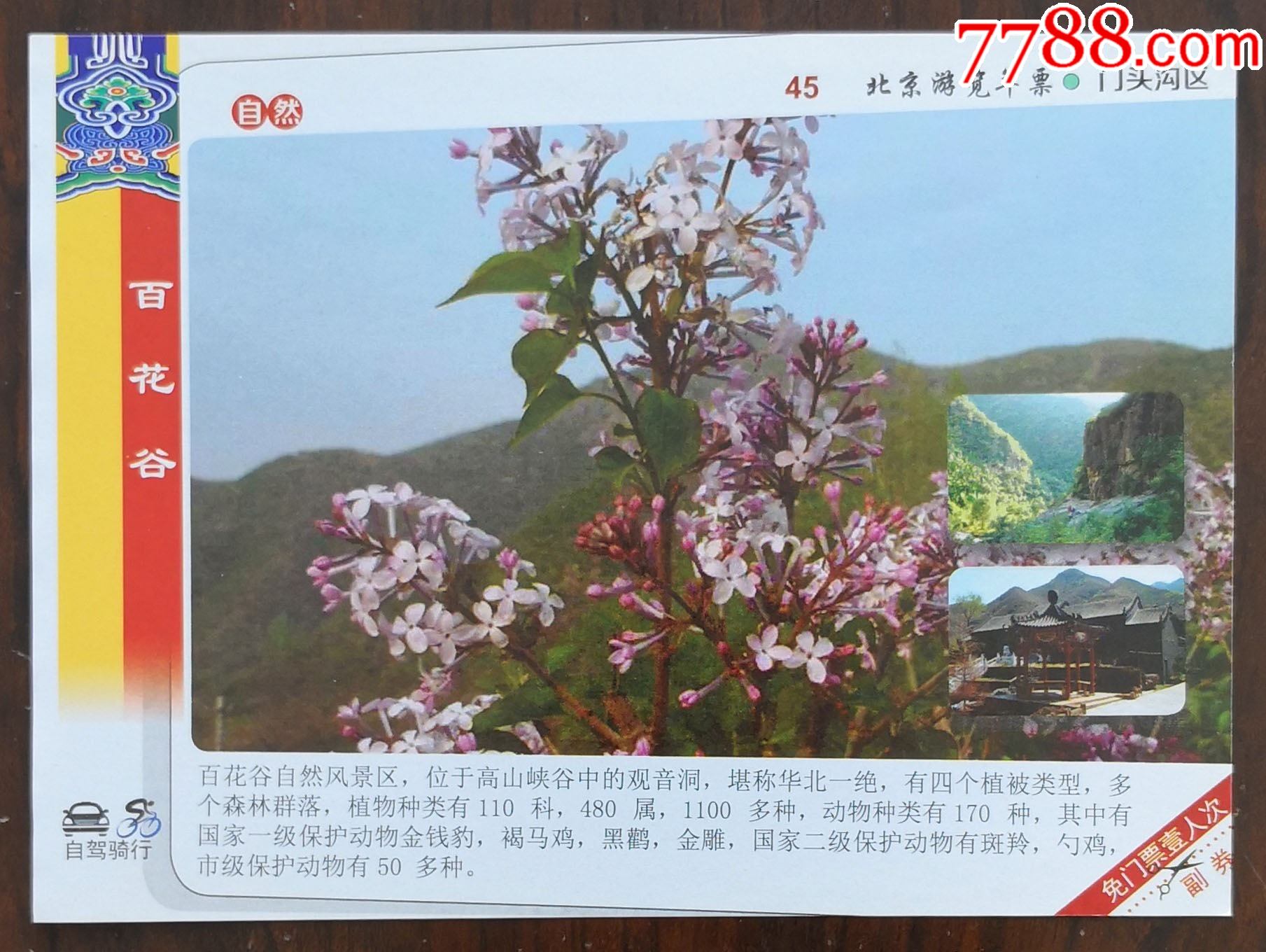 门头沟区—百花谷(丁香花)_旅游景点门票_七夕收藏苑【7788收藏